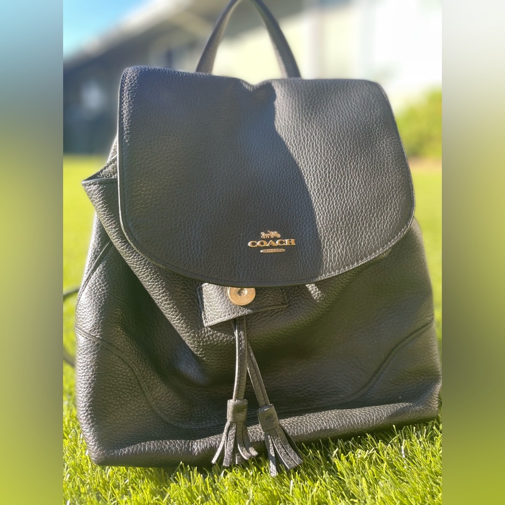 Coach Leather Backpack/Purse